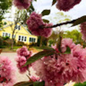 Meet your Posher, Ellie